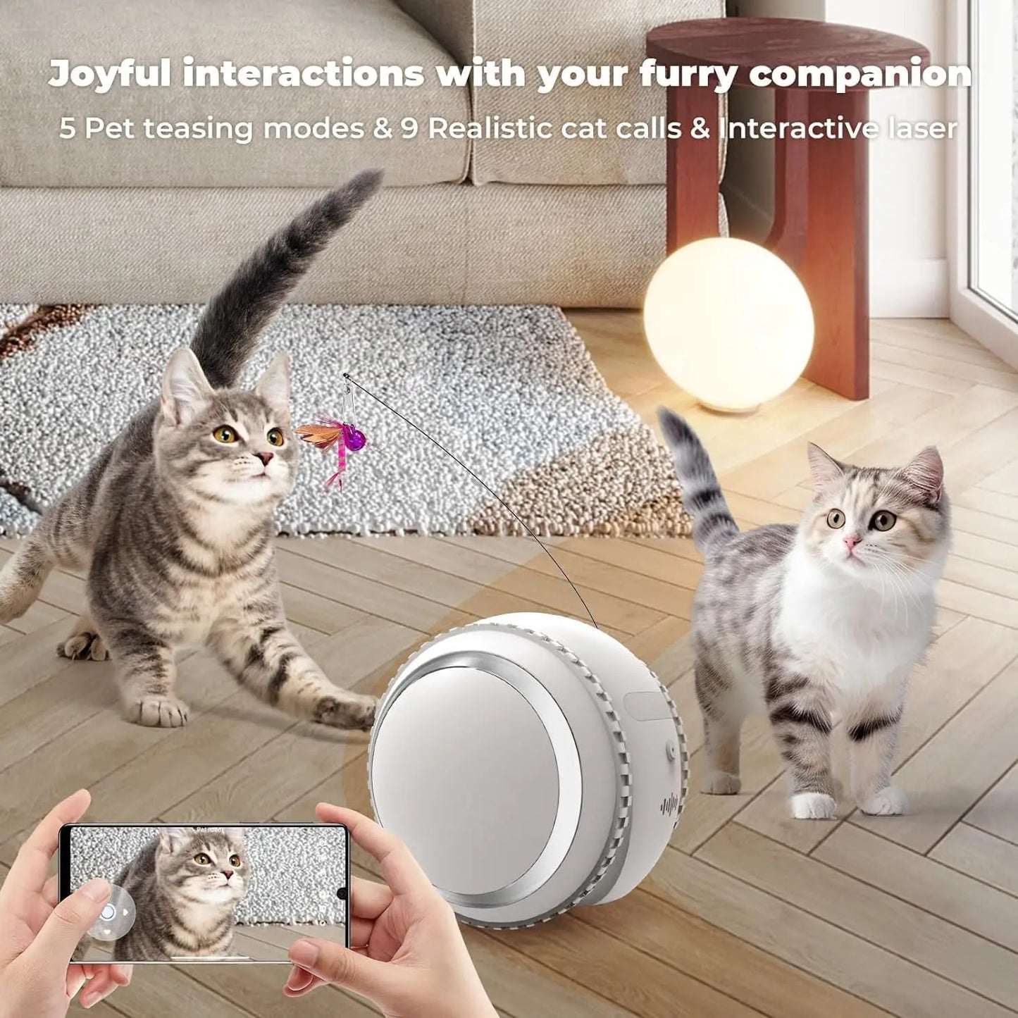 KITPLUS Pet interactive robot with 4K camera, video interaction, 12 pet teasing laser mode and voice recording, automatic charge
