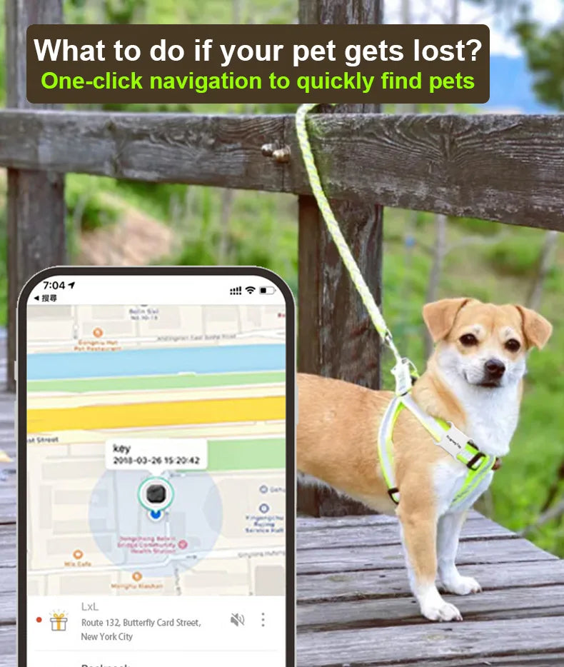 Findmy Tag Global Pet Locator for cats and dogs tracking locating artifact
