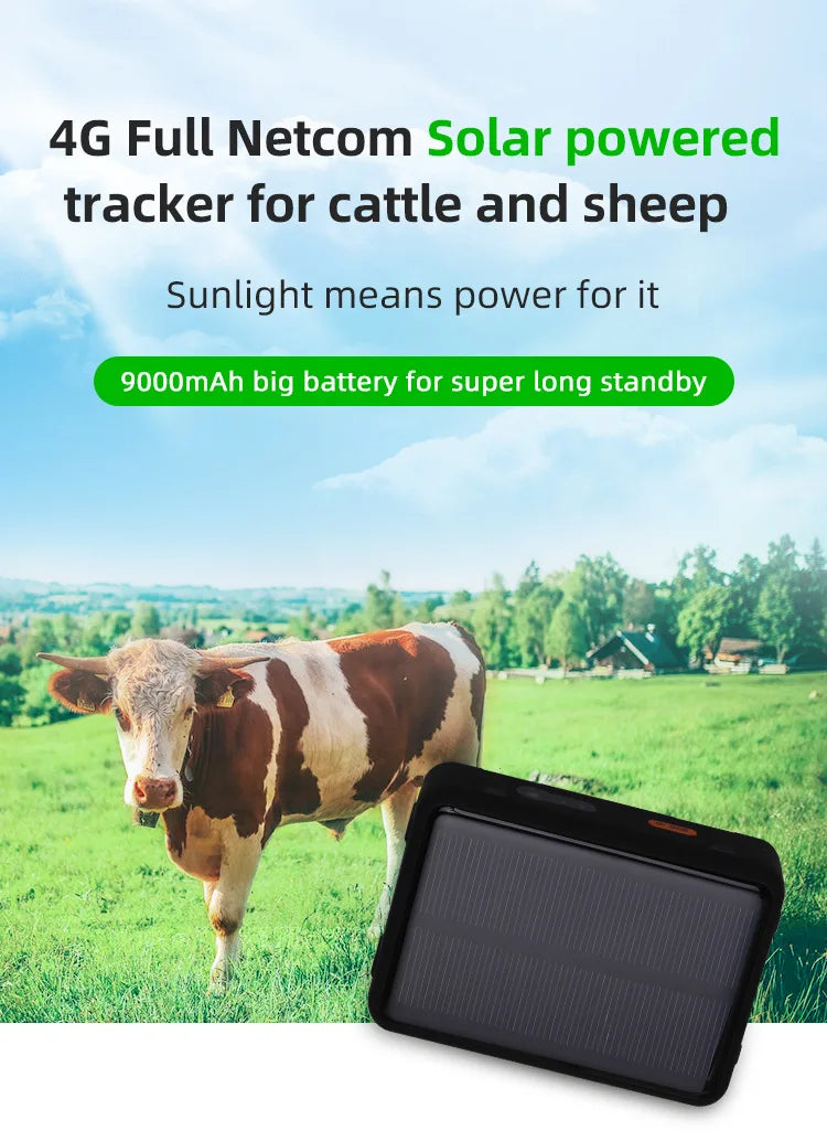 Solar Powered 4G Smart Cattle Tracker, GPS Locator Find Animals WIFI Cow Sheep Horse Camel Pets Tracking Device for Cow Tracking