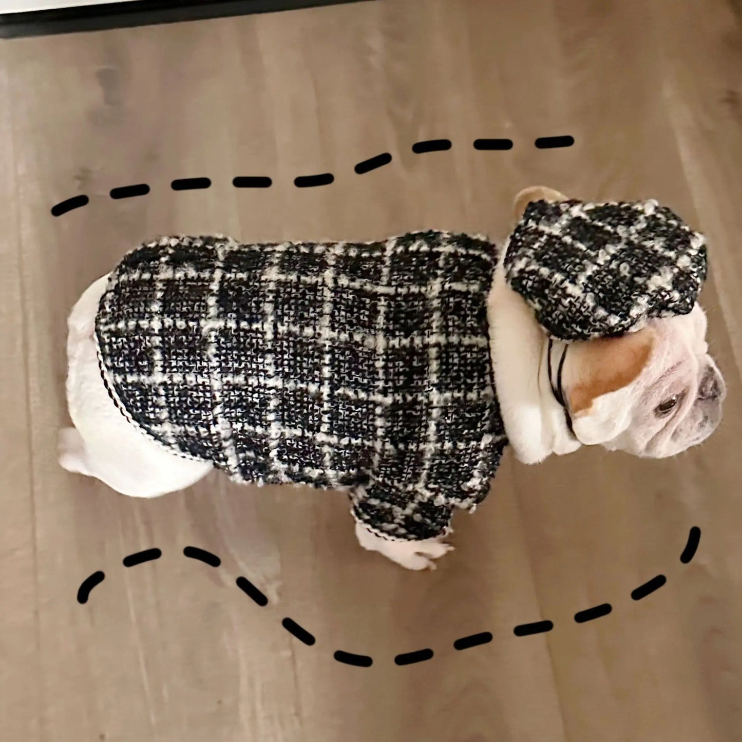 New Winter Classic Plaid Dog Clothes Exquisite Jacket And Hat Set Dog Jacket French Bulldog Schnauzer For Samll Medium Dog