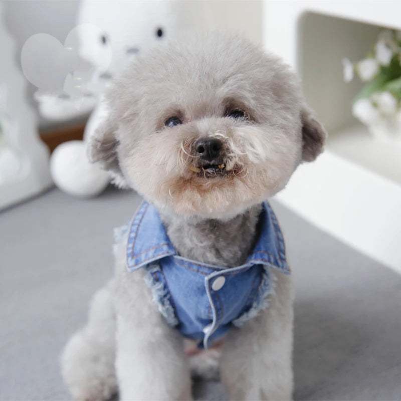 Pet Clothes Denim Dog Costume Summer Cowboy Vest Daisy Shirt Jeans Jacket Puppy Clothing for Chihuahua Yorkies
