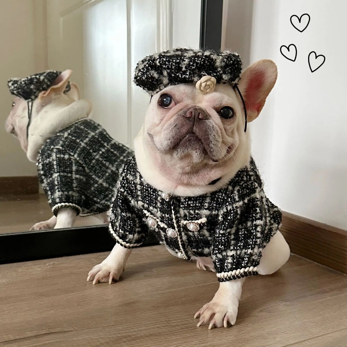 New Winter Classic Plaid Dog Clothes Exquisite Jacket And Hat Set Dog Jacket French Bulldog Schnauzer For Samll Medium Dog