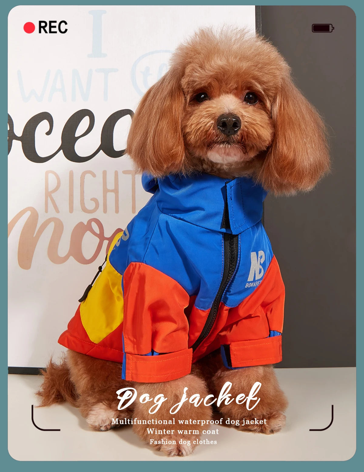Waterproof Big Dog Clothes Winter Warm Pet Raincoat For Medium Large Dog Fashion Cool Dog Jacket French Bulldog Chihuahua Outfit