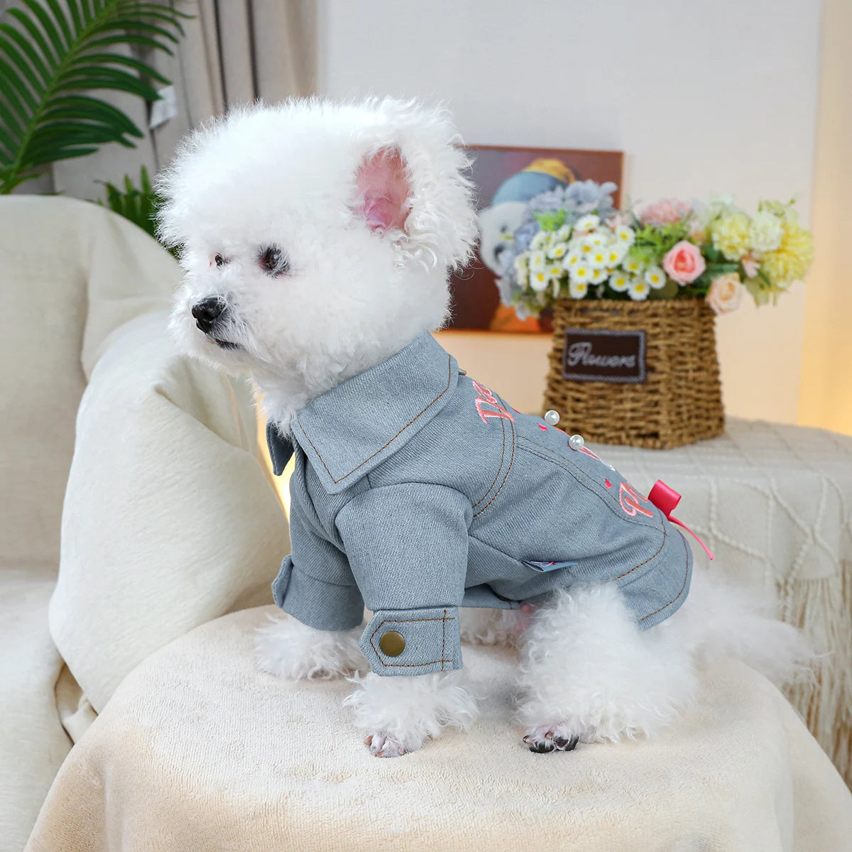 Little Princess Jacket Pet Clothes Dog Cat Anti-hair Loss Summer Blue Handsome Towable Vest