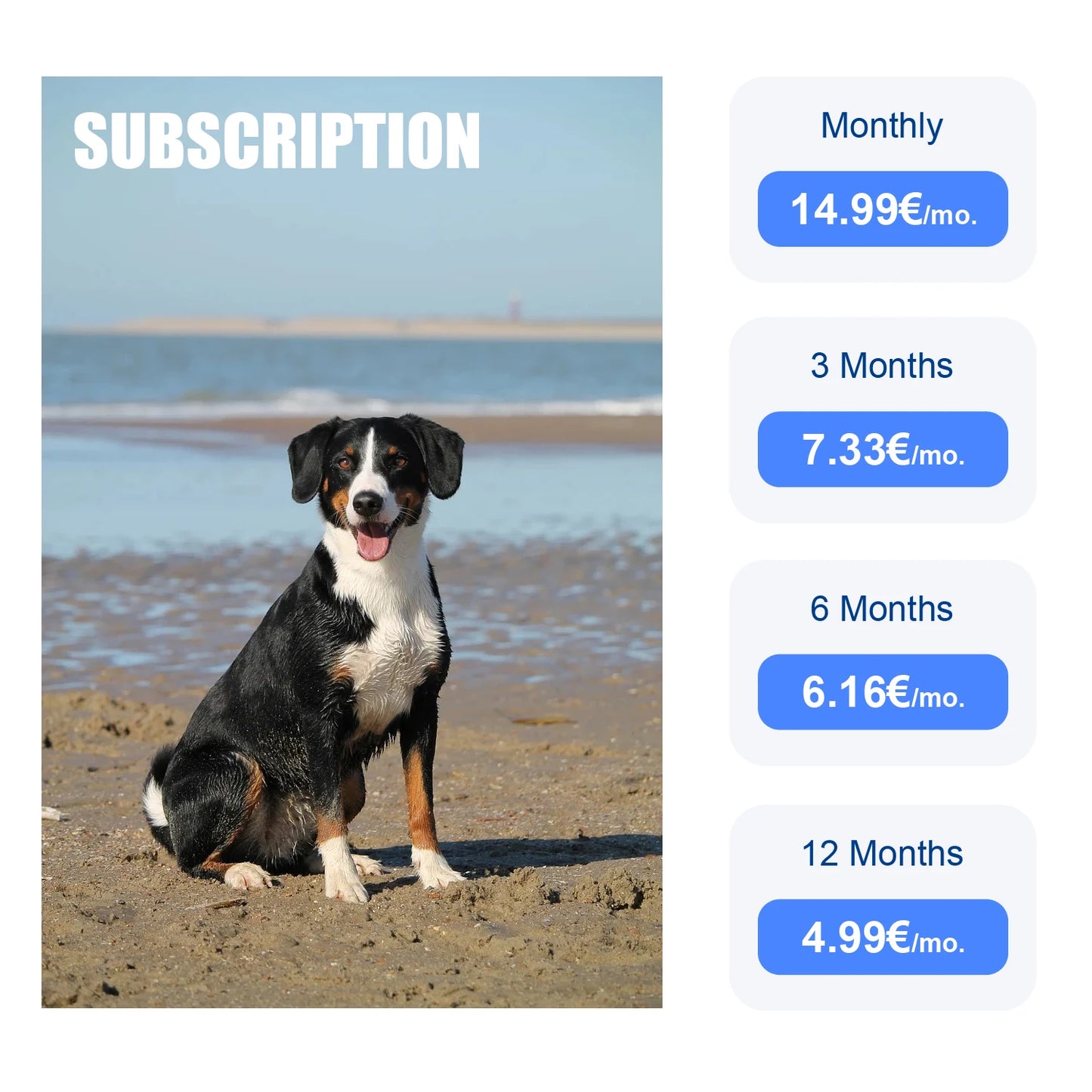 4G Dog Cat GPS Tracker for Pets - Waterproof Smart Locator with App, Live Tracking & Light/Sound Search with Subscription