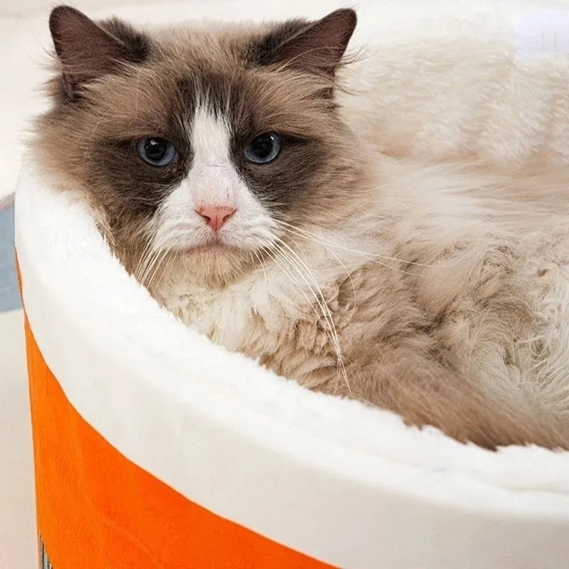 High Elasticity Dog Cat Bed Funny Removable Pet Supplies Easy To Clean Pet Accessories Printed Lamb Wool Material Cat Mats