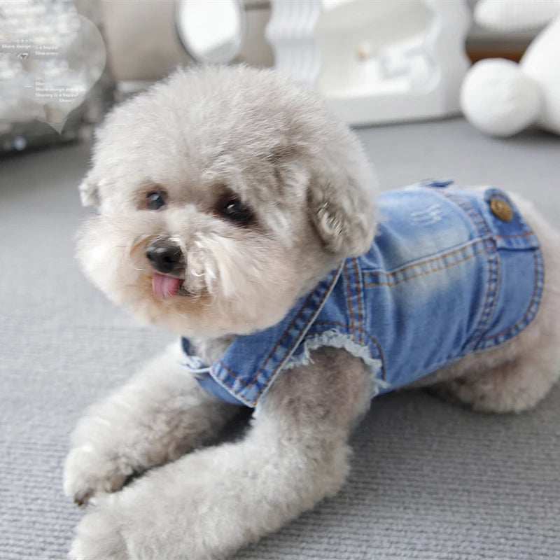Pet Clothes Denim Dog Costume Summer Cowboy Vest Daisy Shirt Jeans Jacket Puppy Clothing for Chihuahua Yorkies