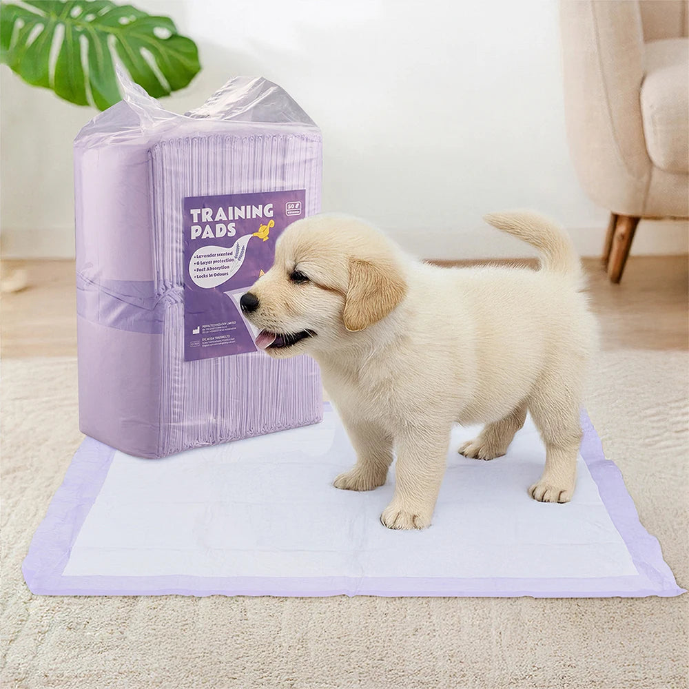 Tieker Pet Diapers Disposable Pet Training Pads Lavender Scent, Quick Drying Super Absorbent Healthy Diaper Pads, 50 pcs