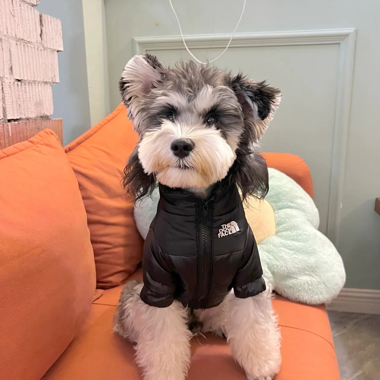 The Dog Face Winter Pet Dog Down Jacket Clothes for Small Medium Dogs Warm Thick White Duck Down Vest French Bulldog Puppy Coat