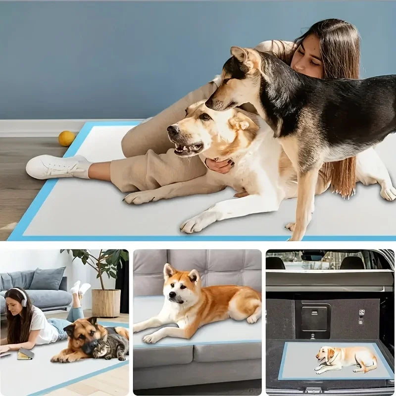 Super Absorbent Pet Diaper Urinal Dog Training Pee Pads 100/50/40/20PCS Disposable Healthy Nappy Mat For Cats Dog Quick-dry Pads