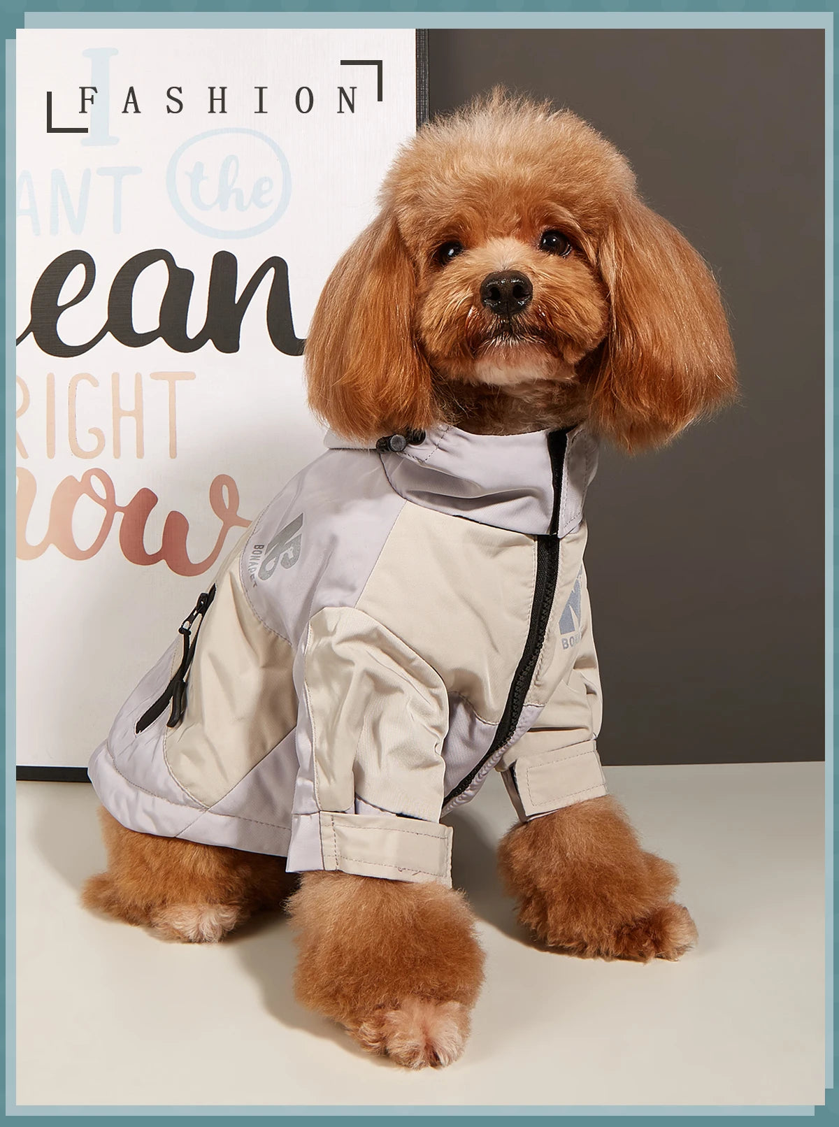 Waterproof Big Dog Clothes Winter Warm Pet Raincoat For Medium Large Dog Fashion Cool Dog Jacket French Bulldog Chihuahua Outfit