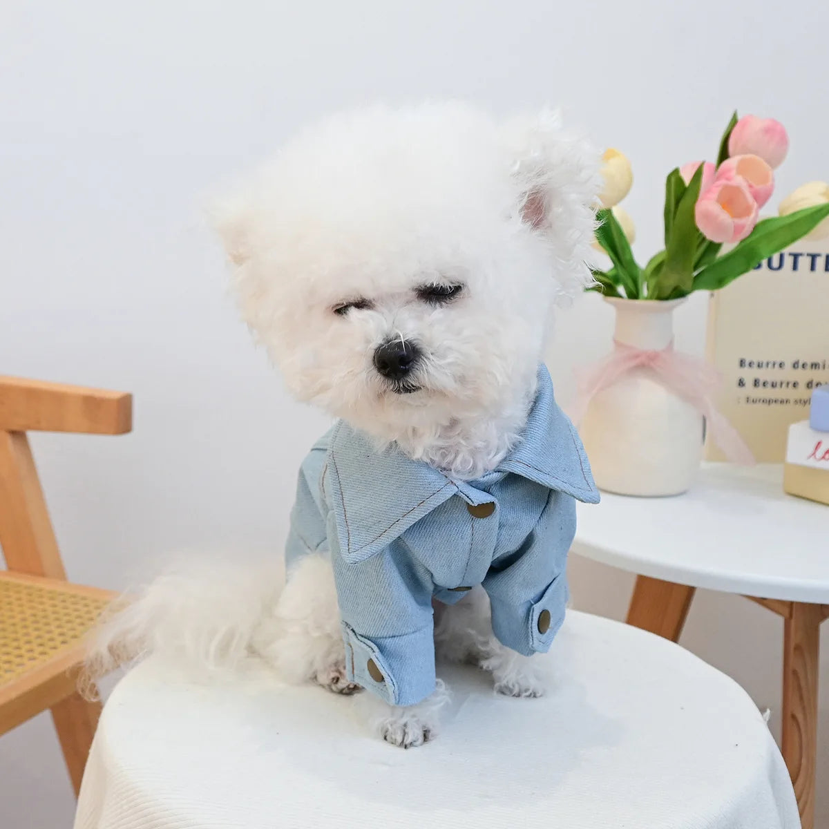 Denim Puppy Jacket For Chihuahua Yorkie Adjustable Lightweight Coat, Breathable Dog Clothes With Snap Closure