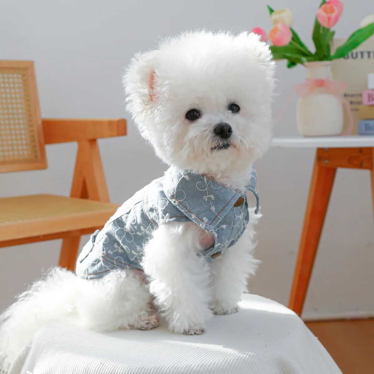 Denim Doggie Pet Jacket Sleeveless Vest Jeans Coat Autumn Spring Wear Apparel For Small Medium Dog XS XL Cat Puppy Clothes Goods