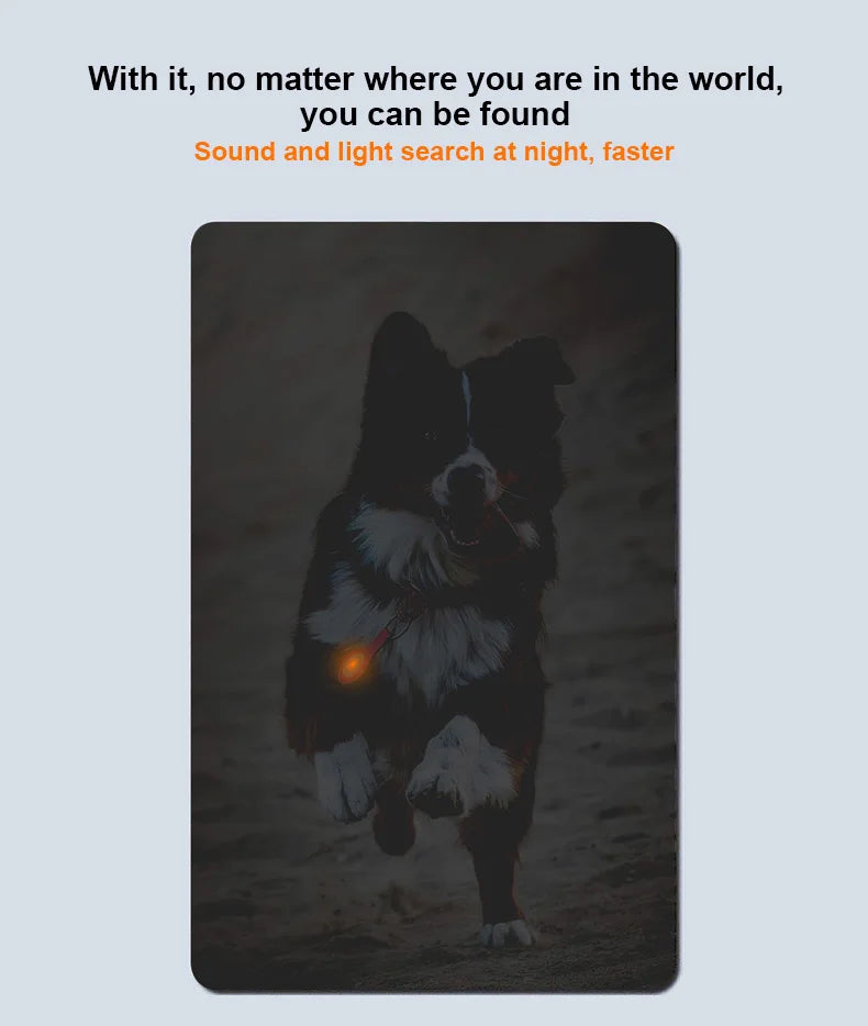 Findmy Tag Global Pet Locator for cats and dogs tracking locating artifact