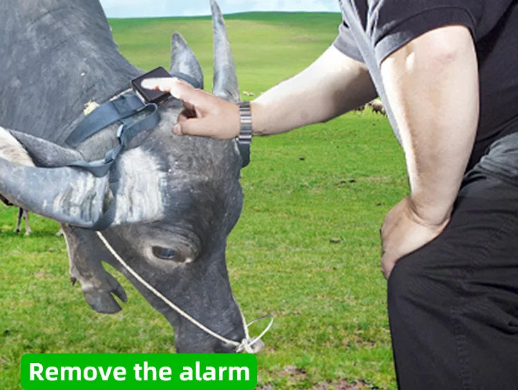 Solar Powered 4G Smart Cattle Tracker, GPS Locator Find Animals WIFI Cow Sheep Horse Camel Pets Tracking Device for Cow Tracking