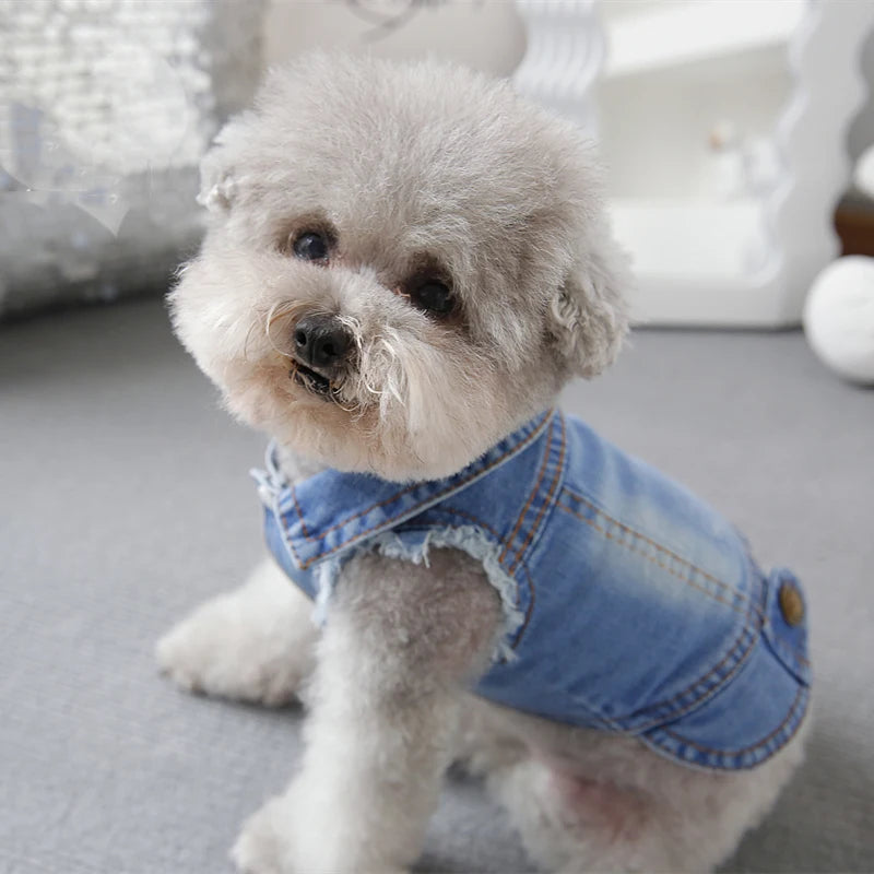 Pet Clothes Denim Dog Costume Summer Cowboy Vest Daisy Shirt Jeans Jacket Puppy Clothing for Chihuahua Yorkies