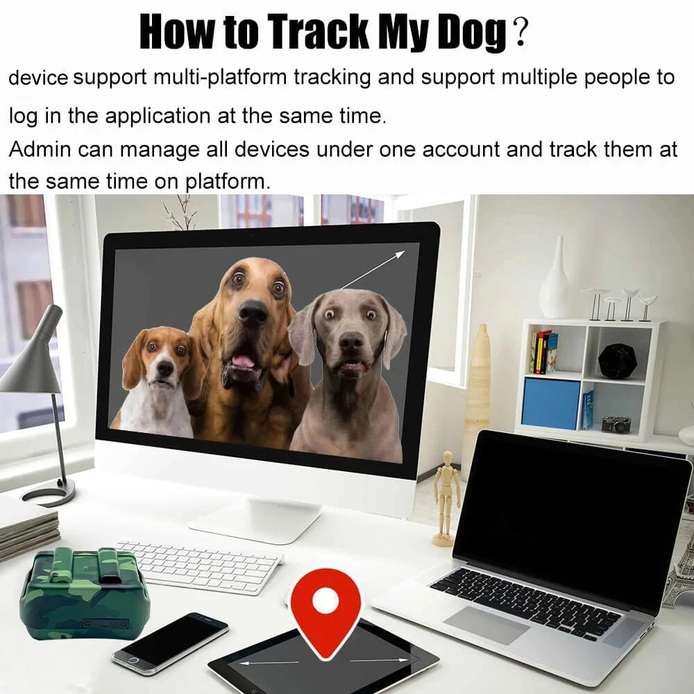 4G GPS Tracker Dog Collar for Hunting Dogs Cow Sheep 4000 mAh IP68 Waterproof Pet Tracker Large Animal Collar with Free App