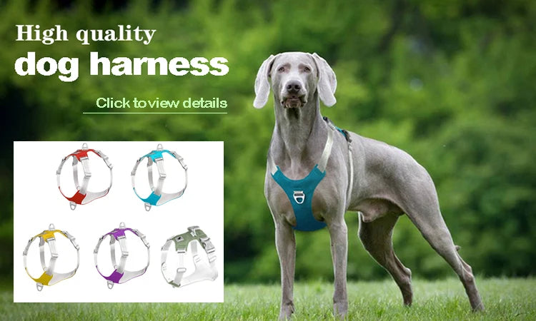 Dog Outdoor Jacket Waterproof Reflective Pet Coat Vest Winter Warm Cotton Dogs Clothing for Large Middle Dogs  Labrador
