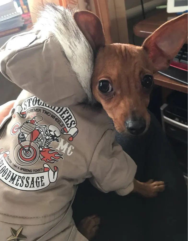 Pet Dog Clothes Winter Warm Dog Jeans Coat Jumpsuit Thicken Pet Clothing For Yorkshire Teddy Dogs Costume Puppy Clothes Jackets