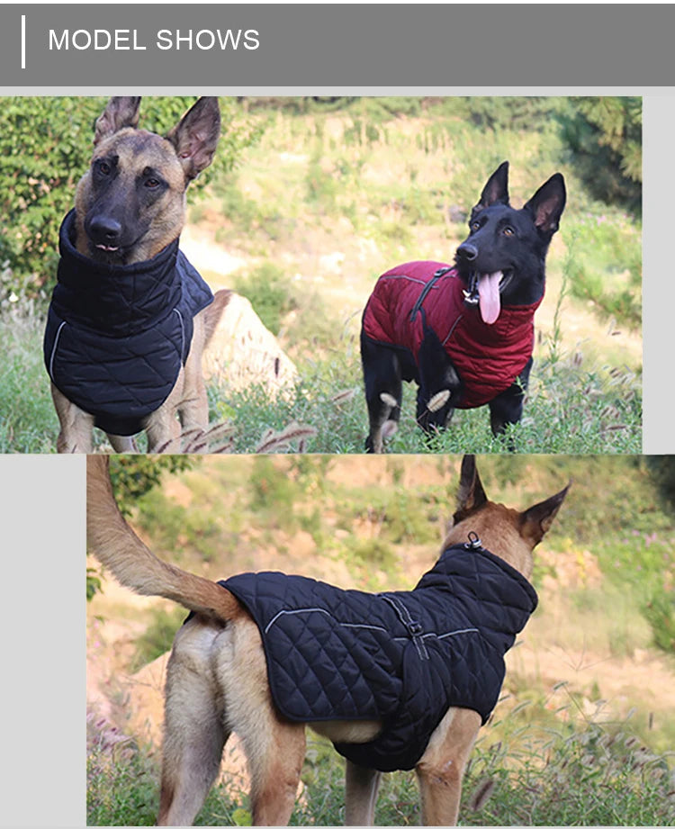 Dog Outdoor Jacket Waterproof Reflective Pet Coat Vest Winter Warm Cotton Dogs Clothing for Large Middle Dogs  Labrador