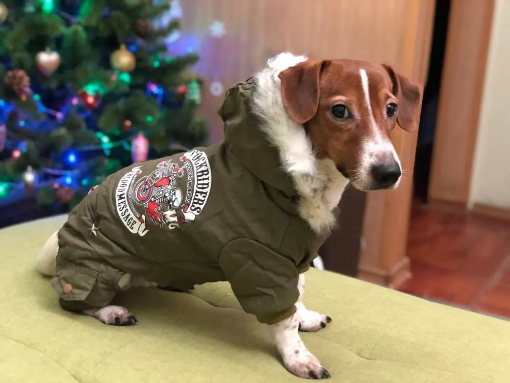 Pet Dog Clothes Winter Warm Dog Jeans Coat Jumpsuit Thicken Pet Clothing For Yorkshire Teddy Dogs Costume Puppy Clothes Jackets