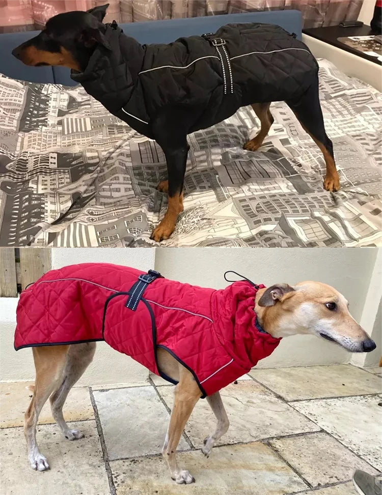 Dog Outdoor Jacket Waterproof Reflective Pet Coat Vest Winter Warm Cotton Dogs Clothing for Large Middle Dogs  Labrador