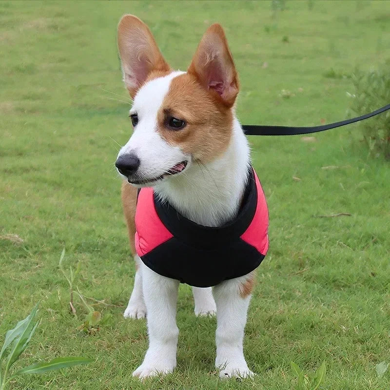 Waterproof Warm Dog Clothing for Small Medium Big Dogs Clothes Pet Coat Winter VThe OutfitJacket Dogest Padded Zipper