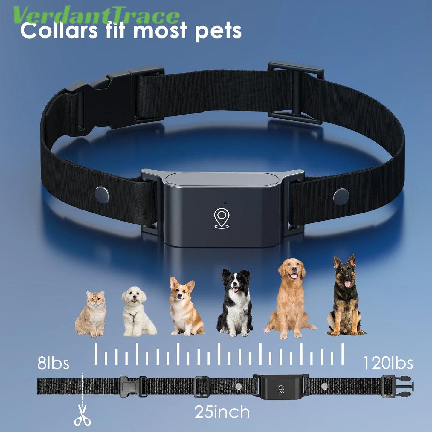 Waterproof 4G GPS Pet Tracker Mini Body Camera for Dog Cat Outdoor Adventures Smart Collar Tracking Video Recording VerdantTrace