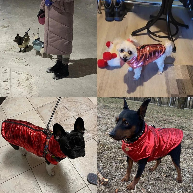 Autumn Winter Pet Dog Clothes For Small Medium Dogs Cat Waterproof Warm Puppy Jacket Vest French Bulldog Yorkshire Coat Outfits
