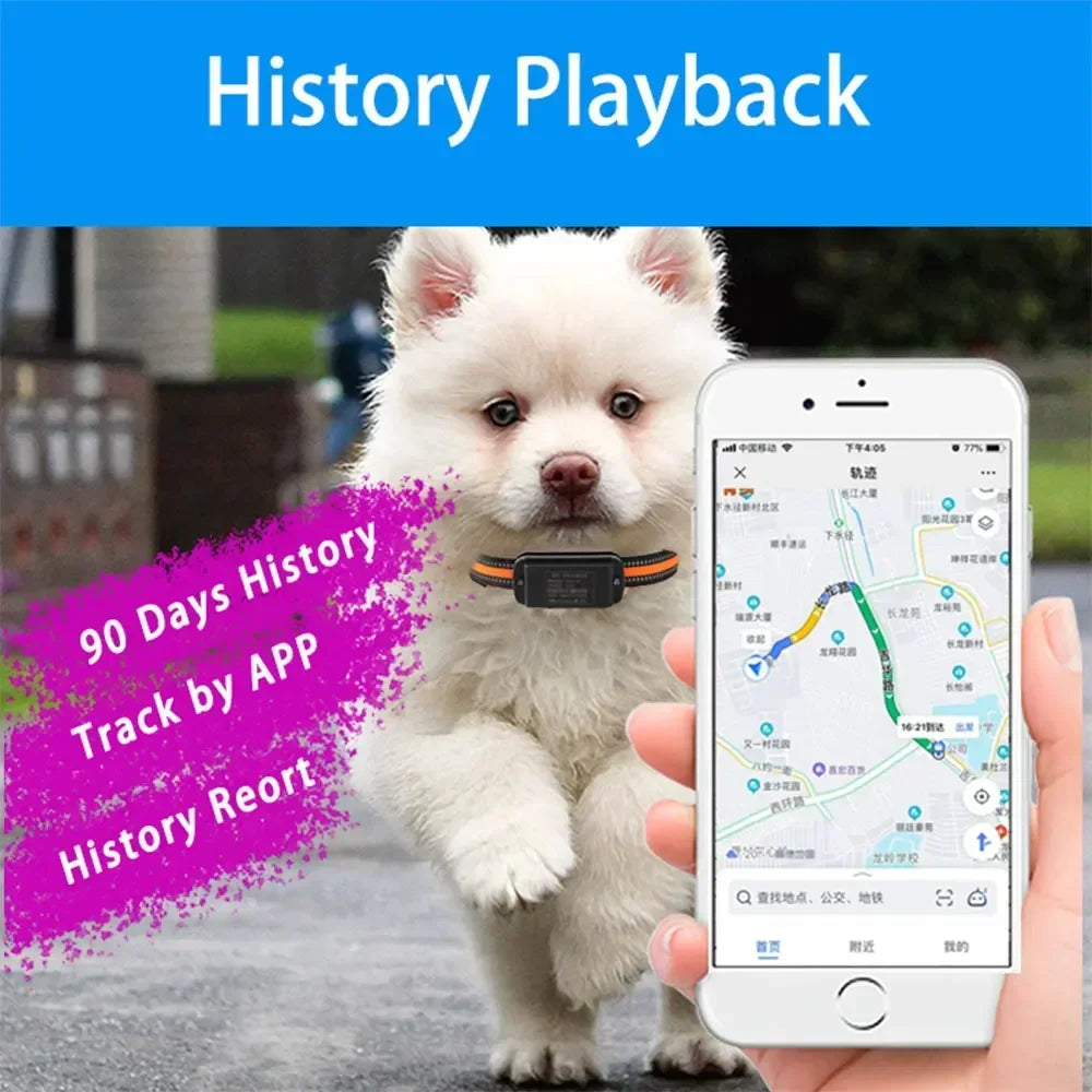 4G Smart Pet Locator Collar, Hunting Dog GPS Tracker Anti-Lost Live Location Free APP 60 Days Standby Waterproof Dog Find Device