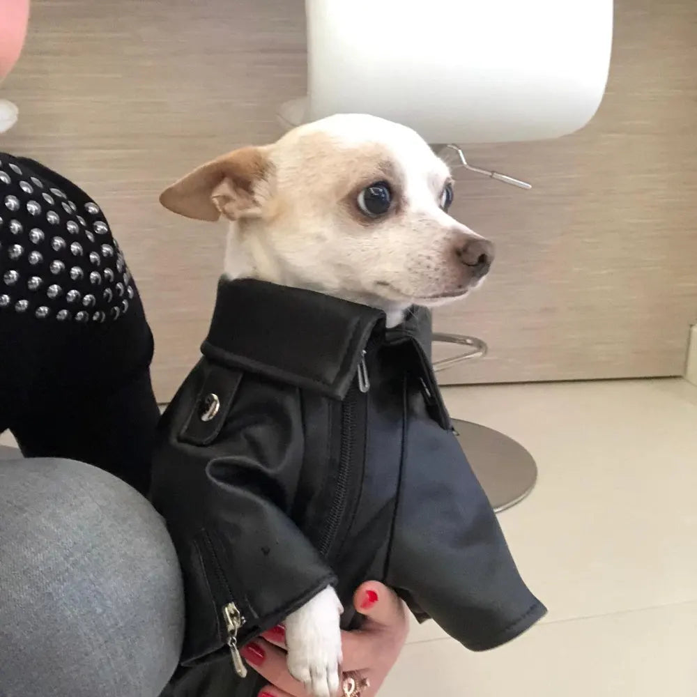 Glorious Eagle Pattern Dog Coat PU Leather Jacket Soft Waterproof Outdoor Puppy Outerwear Fashion Clothes For Small Pet(XXS-XXL)