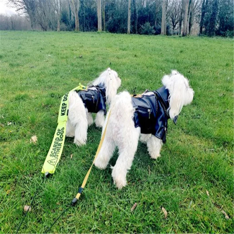 Glorious Eagle Pattern Dog Coat PU Leather Jacket Soft Waterproof Outdoor Puppy Outerwear Fashion Clothes For Small Pet(XXS-XXL)