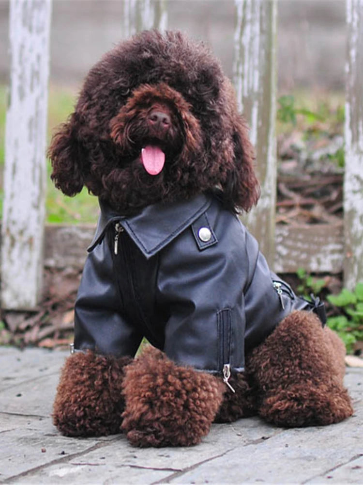 Glorious Eagle Pattern Dog Coat PU Leather Jacket Soft Waterproof Outdoor Puppy Outerwear Fashion Clothes For Small Pet(XXS-XXL)
