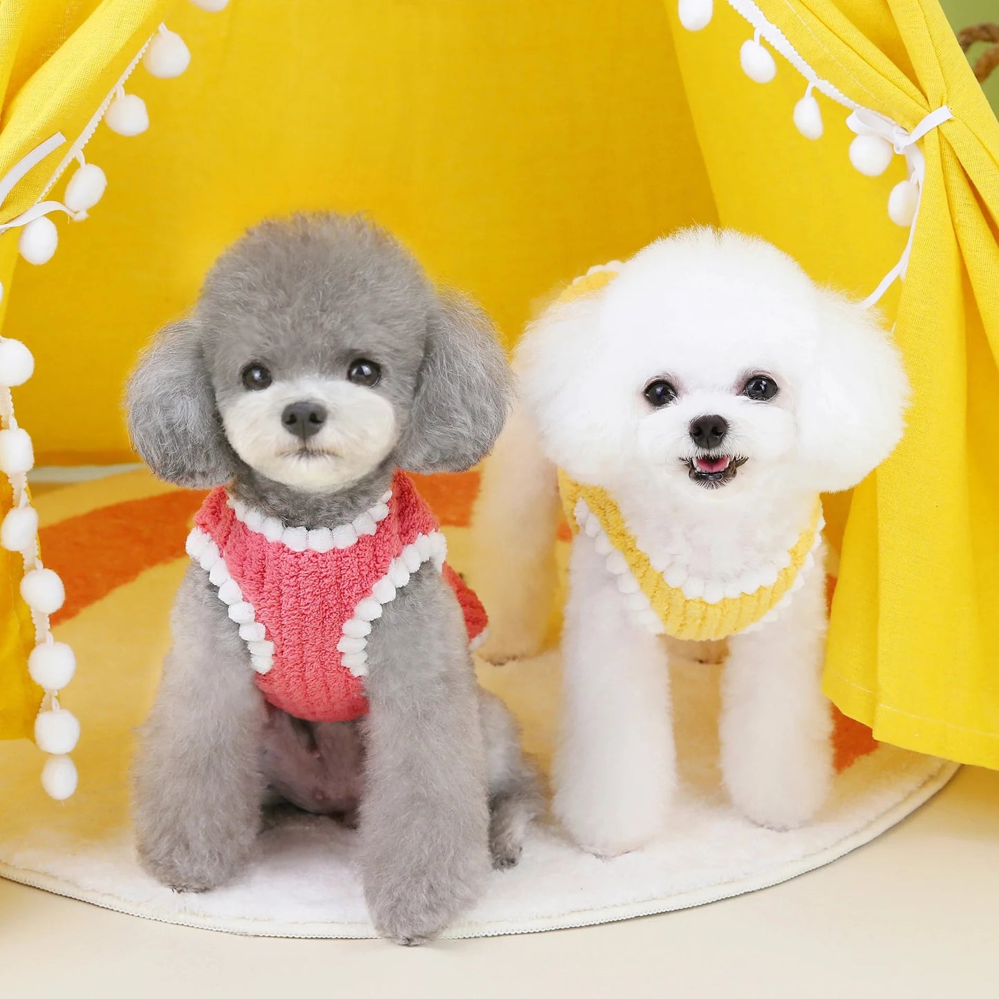 Winter Warm Dog Coat Soft Fleece Pet Clothes for Small Dogs Cats Cute Puppy Jacket French Bulldog Chihuahua Yorkies Costume
