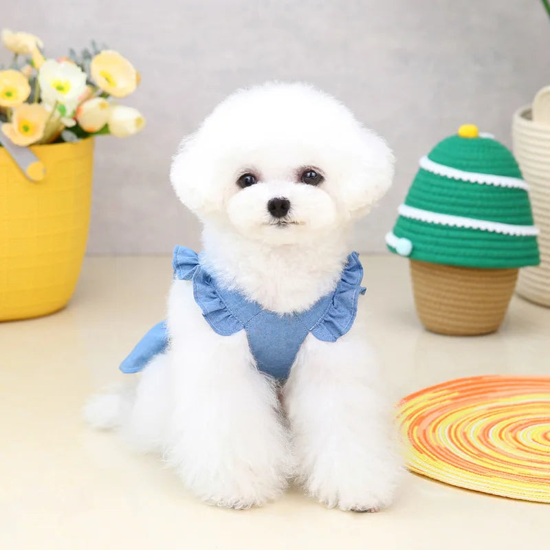 Thin Style Pet Dog Dress Letters Embroidered Jean Clothes for Small Dogs Puppy Cat Harness Vest Girl Dog Summer Skirts Yorkies