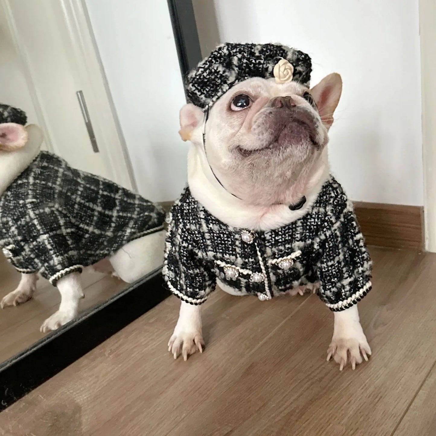 New Winter Classic Plaid Dog Clothes Exquisite Jacket And Hat Set Dog Jacket French Bulldog Schnauzer For Samll Medium Dog