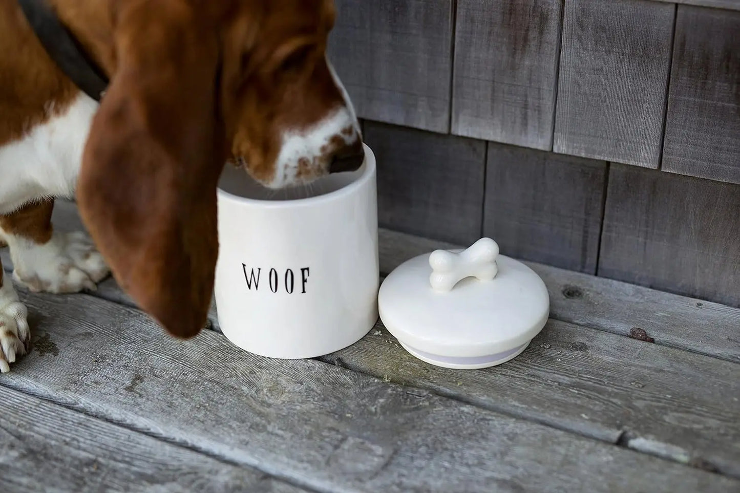Dog TreatJar with Bone Handle on Lid  Jar Large Ceramic Airtight Canister Rustic Farmhouse Pet Food Storage Container