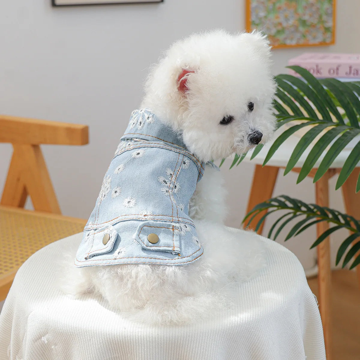 Denim Puppy Jacket For Chihuahua Yorkie Adjustable Lightweight  Coat, Breathable Dog Clothes With Snap Closure