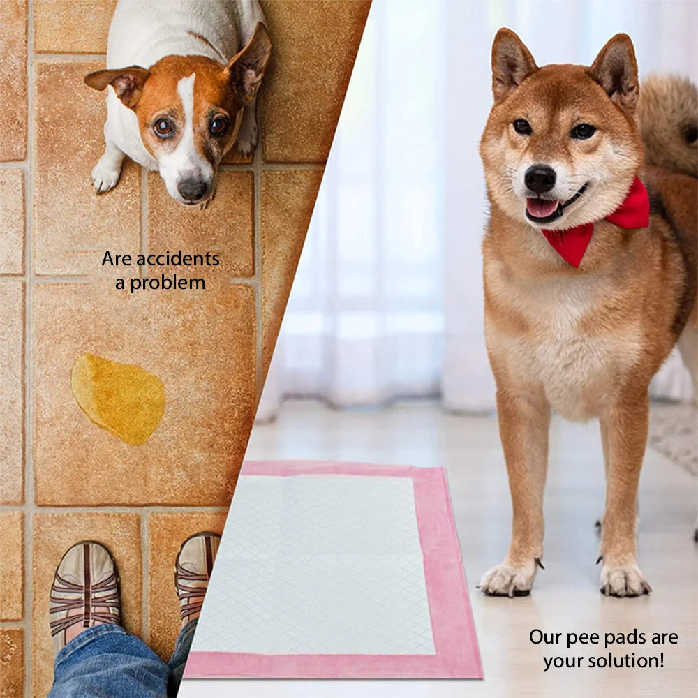 50pc Pet Diaper 60*90cm  60*60cm Dogs Diapers Disposable Puppy Training Pee Pads Quick Dry Surface Mat Clean Cushion Dog Supplie
