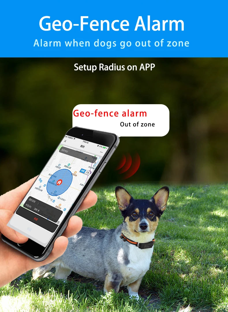4G Smart Pet Locator Collar, Hunting Dog GPS Tracker Anti-Lost Live Location Free APP 60 Days Standby Waterproof Dog Find Device