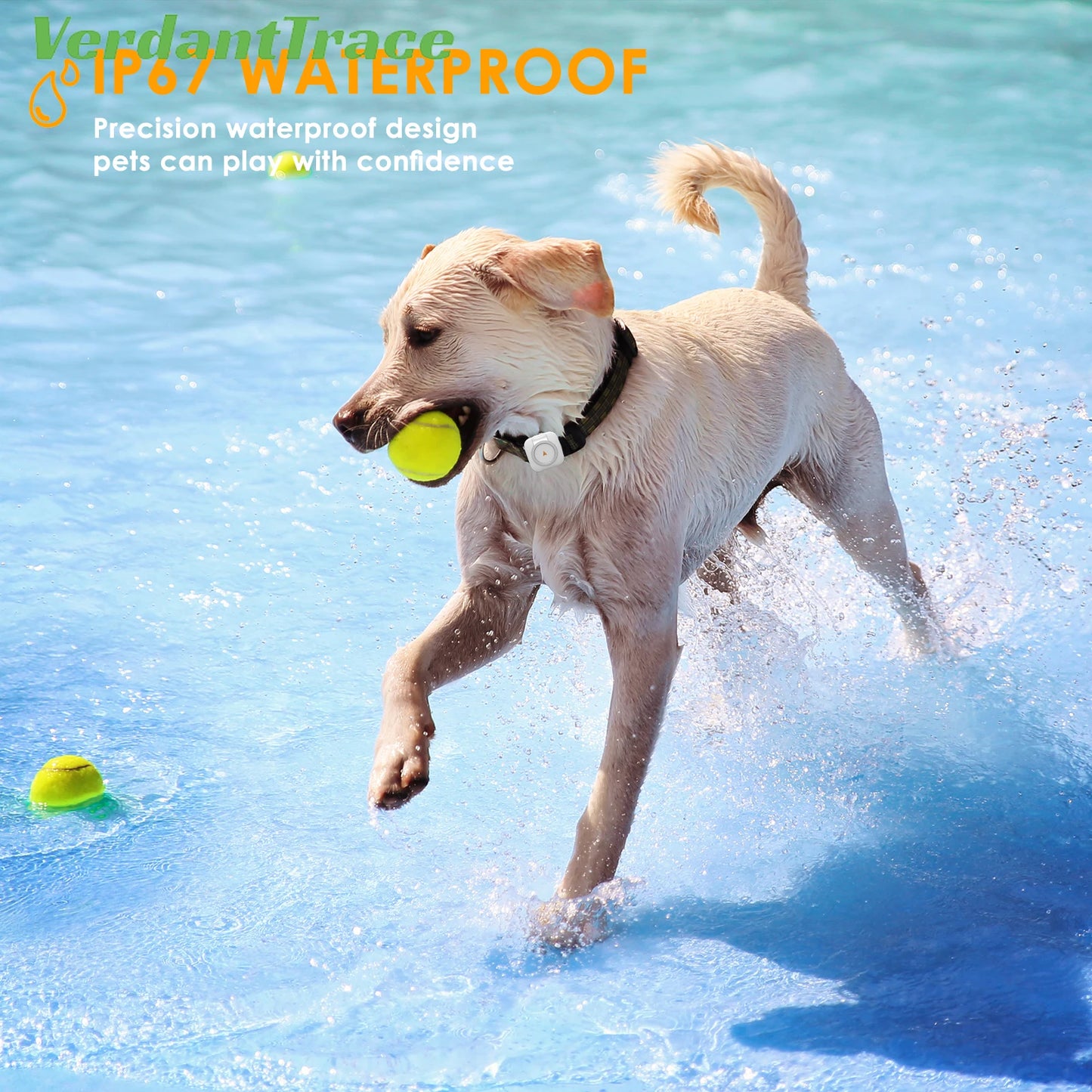 4G GPS Tracker Dog Cat IP67 Waterproof Pet Tracker Geo-fence Dog Collar Monitor Real Time GPS Sports Tracking Health Monitoring