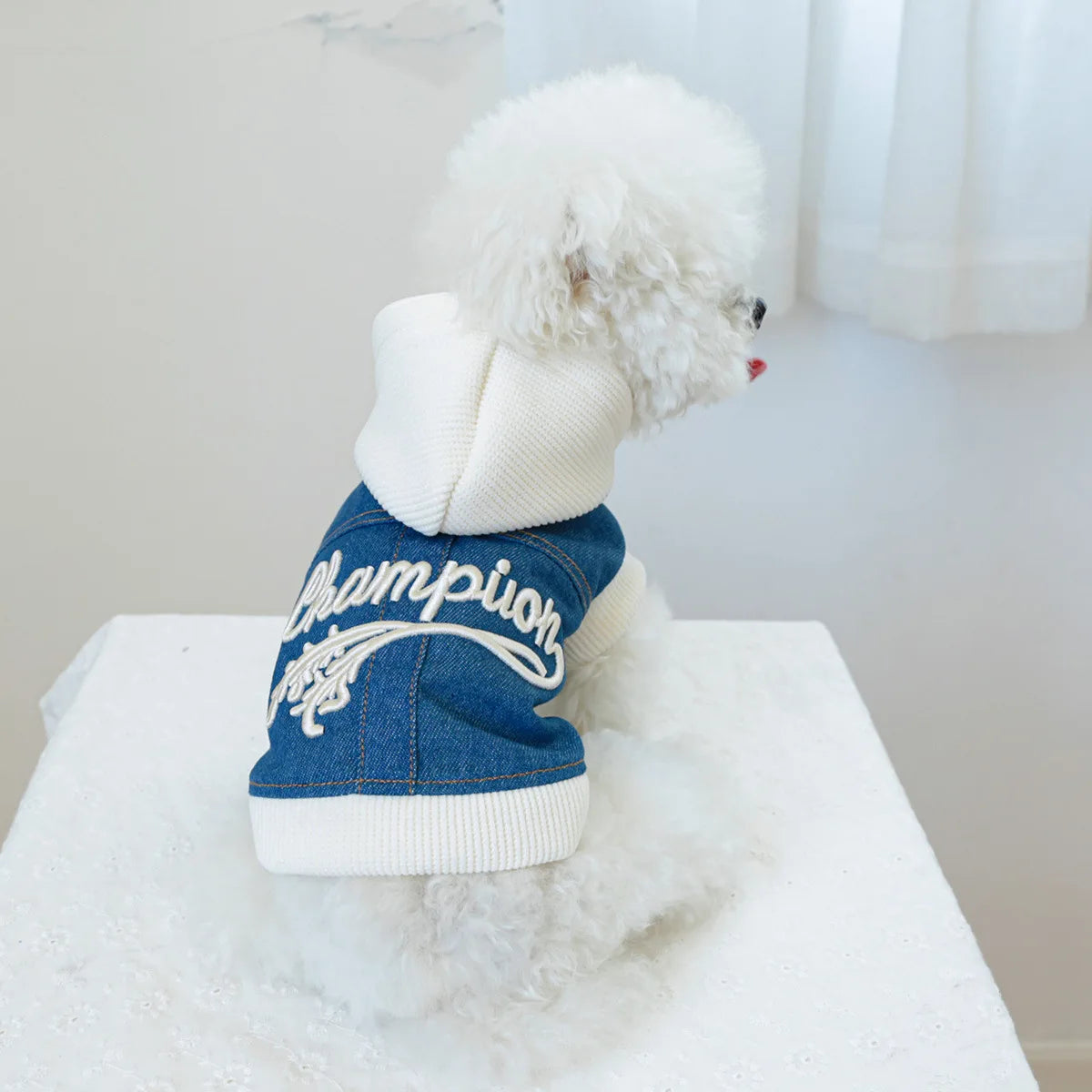 Pet Clothing Spring And Autumn Handsome Cool Cowboy Coat Suitable Cute Rock Roll Denim Clothing for Small and Medium sized Dogs