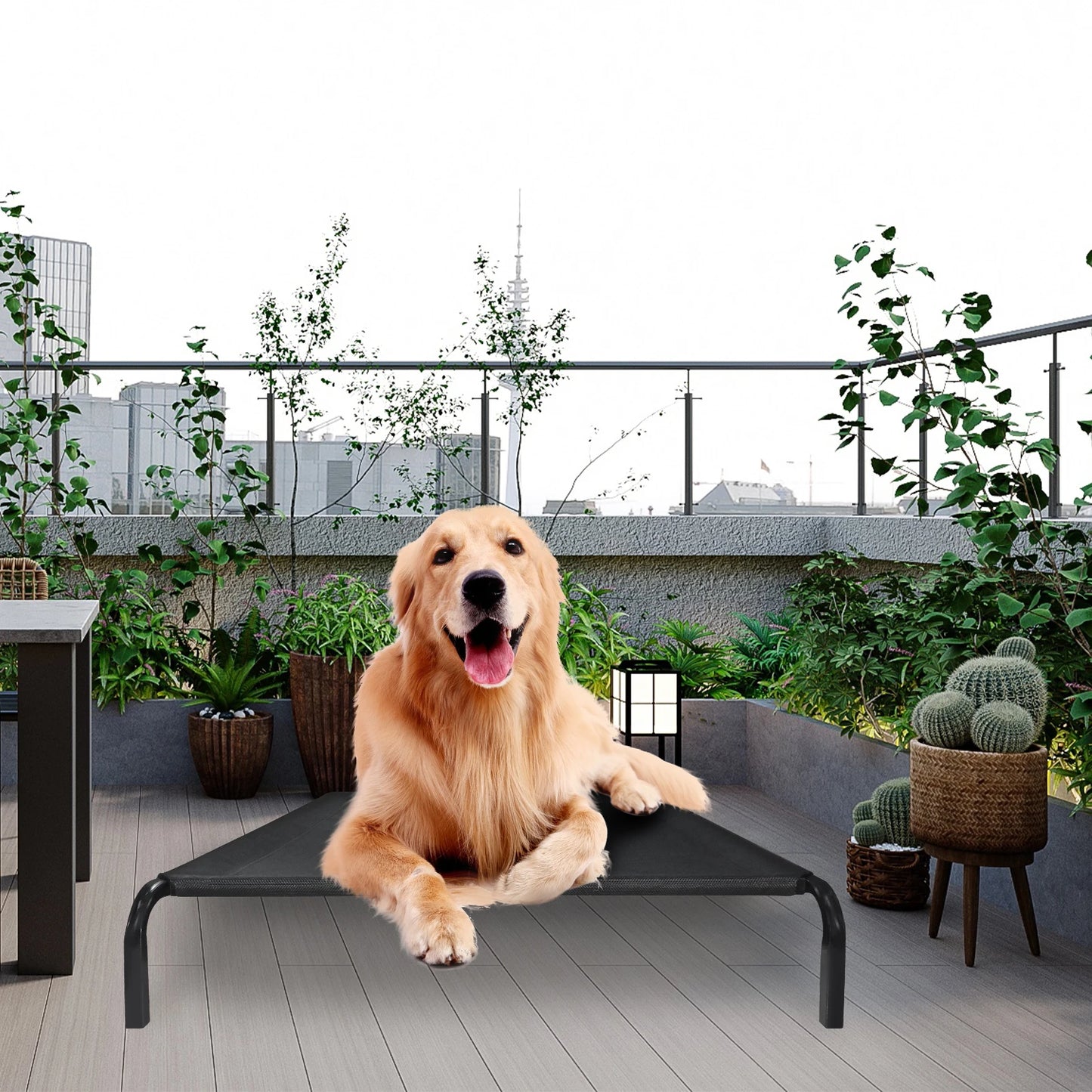 Elevated Dog Bed - 3 Sizes, Outdoor Pet Sofa Bed for Camping, Black Raised Cot for Dogs/Cats