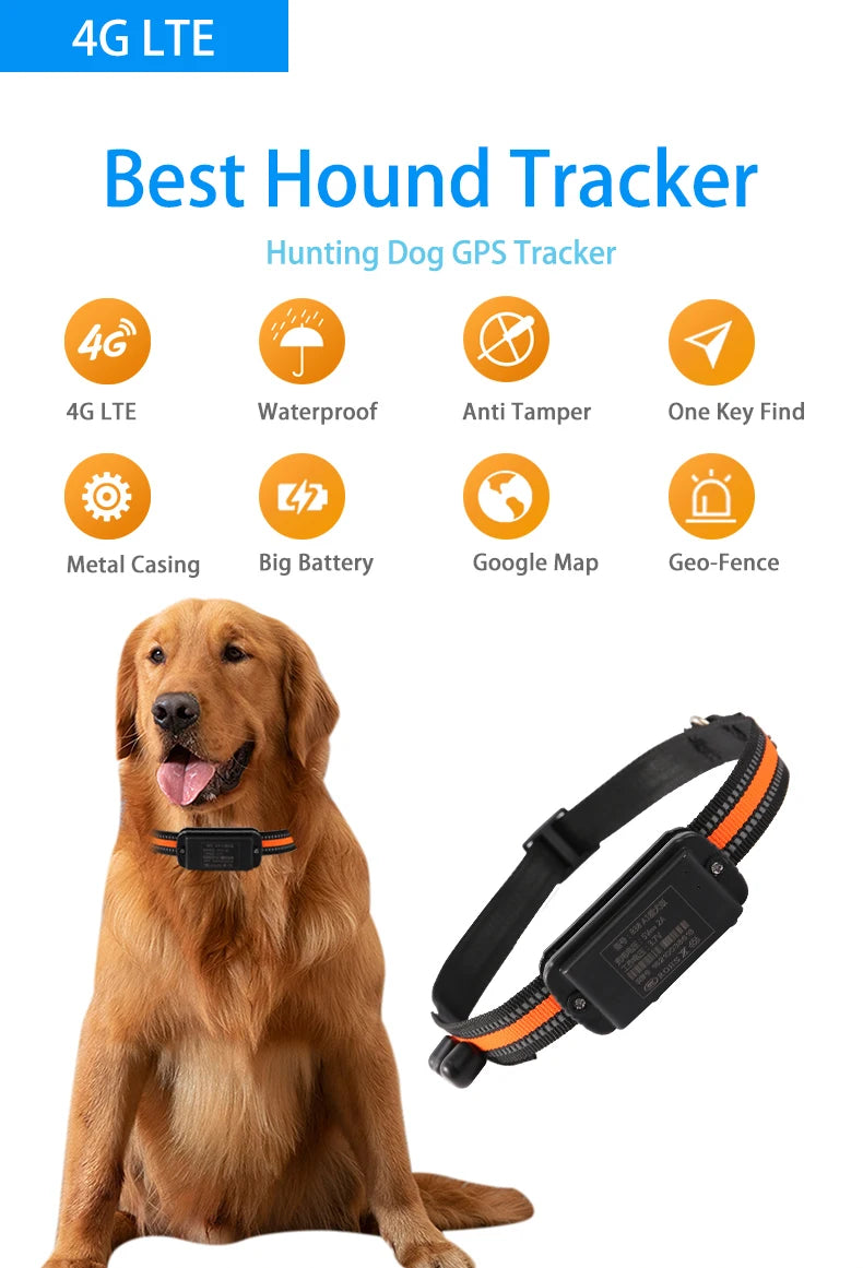 4G Smart Pet Locator Collar, Hunting Dog GPS Tracker Anti-Lost Live Location Free APP 60 Days Standby Waterproof Dog Find Device