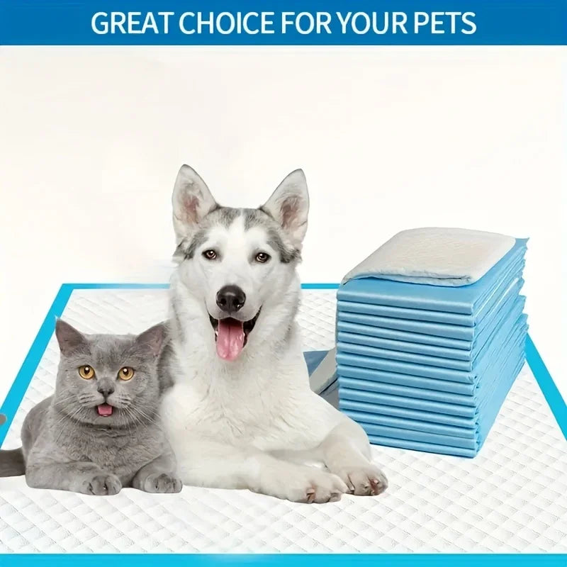 Super Absorbent Pet Diaper Urinal Dog Training Pee Pads 100/50/40/20PCS Disposable Healthy Nappy Mat For Cats Dog Quick-dry Pads