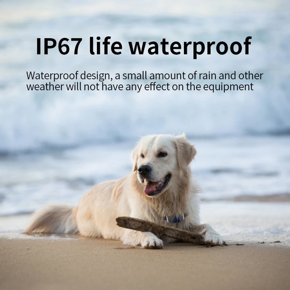 Smart Positioning Tracker Wearable Collar Pet Tracking Locator Waterproof IP67 Anti-lost Record Multifunctional for Kids Elderly