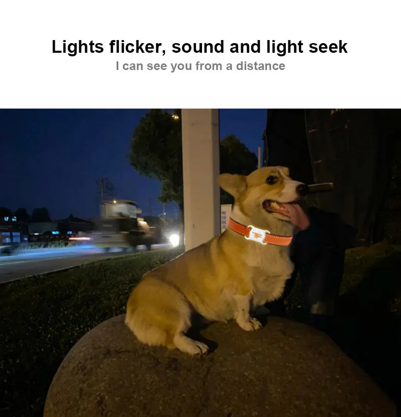 Findmy Tag Global Pet Locator for cats and dogs tracking locating artifact