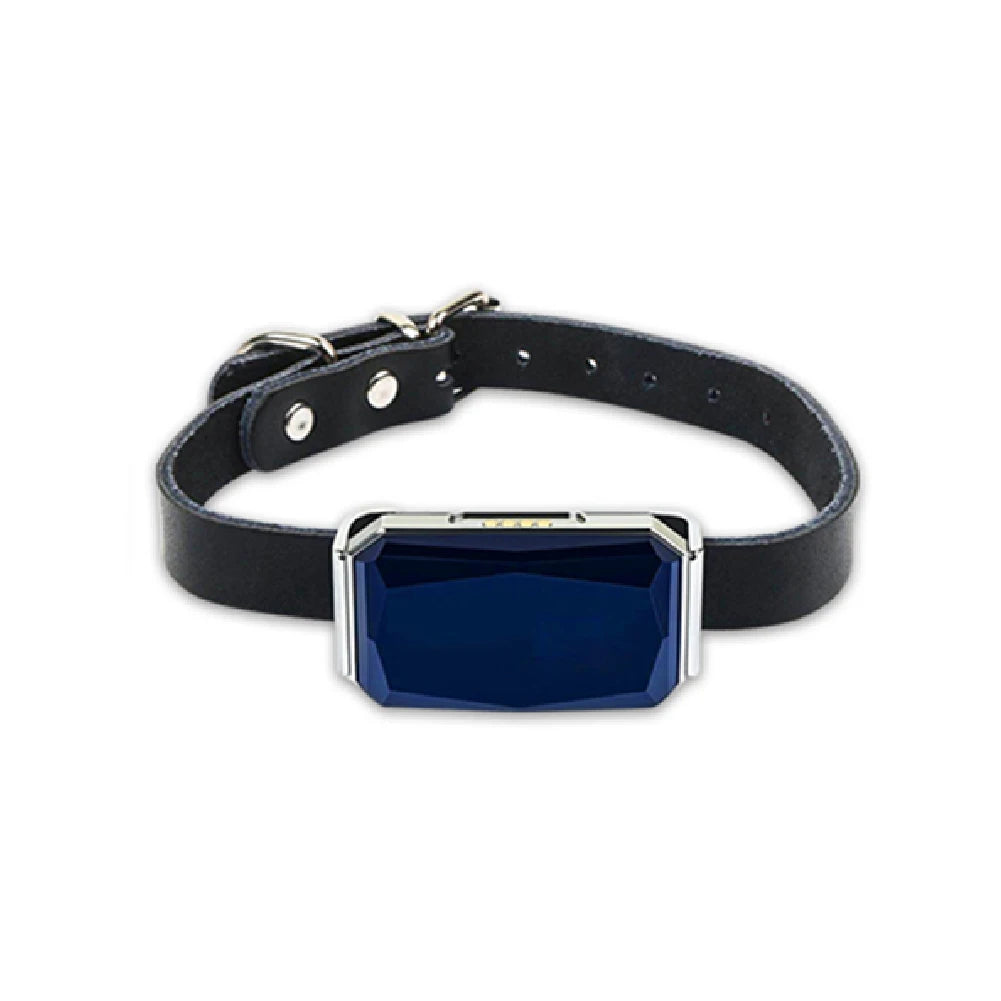 Smart Positioning Tracker Wearable Collar Pet Tracking Locator Waterproof IP67 Anti-lost Record Multifunctional for Kids Elderly