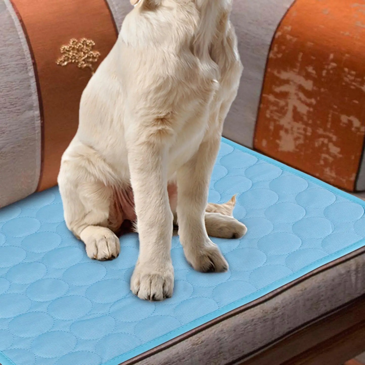 Self-Cooling Pet Mat for Dogs & Cats | Summer Cooling Pillow Bed for Hot Weather