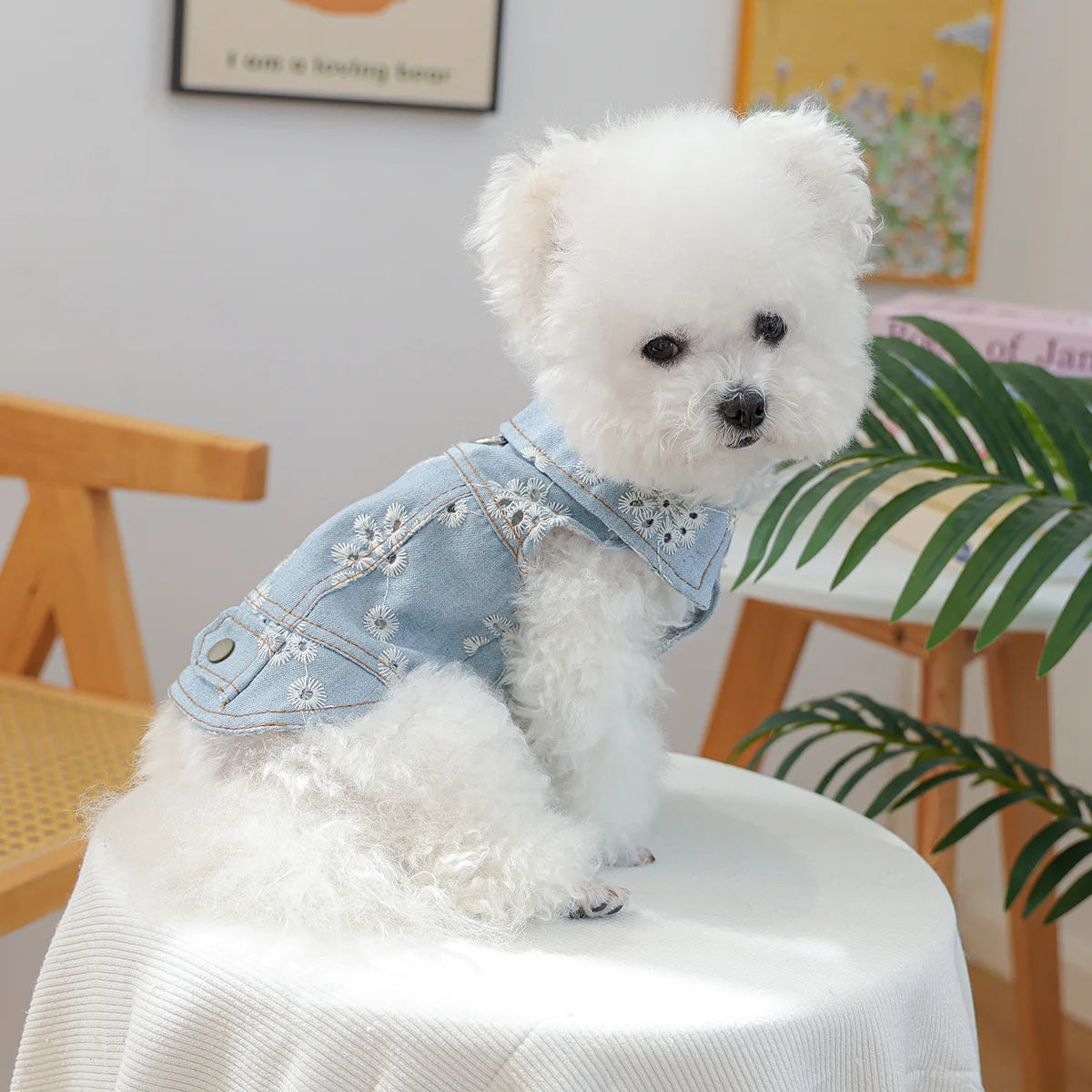Denim Puppy Jacket For Chihuahua Yorkie Adjustable Lightweight  Coat, Breathable Dog Clothes With Snap Closure